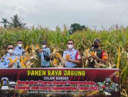 Panen Raya Jagung Dilahan S.E.E. Rutan Kelas I Labuhan Deli Kemenkumham Sumut, Kadivpas Apresiasi Rutan Labuhan Deli