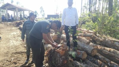 Tim Polres Taput Turun Ke Lokasi Hutan Reboisasi Dolok Imun Kecamatan Siborong-borong