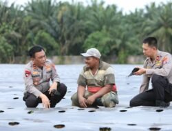 Manfaatkan Lahan Tidur, Kapolda Sumut Gagas Perkebunan Cabai dan Bawang