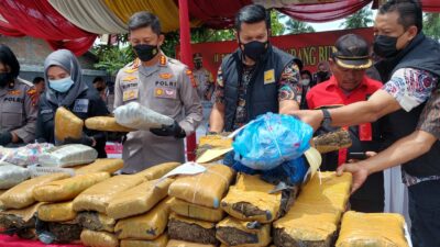 Polisi Ciduk 9 Kurir Narkoba, Barang Buktinya 84 Kg Ganja Dibakar