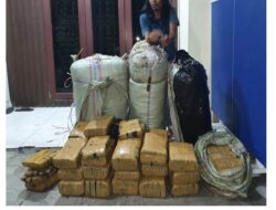 200 Kg Ganja Siap Edar Diamankan Polisi