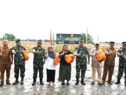 Kolaborasi Kodam I/BB dan Santri Tani Panen Jagung Untuk Ketahanan Pangan