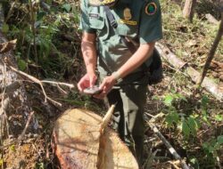 Dinas Kehutanan KPH XII, Pastikan Dolok Imun Tidak Masuk Kawasan Hutan Melainkan APL