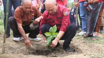 Bupati Taput Hadiri Penanaman Perdana Kopi Arabika Jenis Komasti di Desa Doloksaribu Kecamatan Pagaran