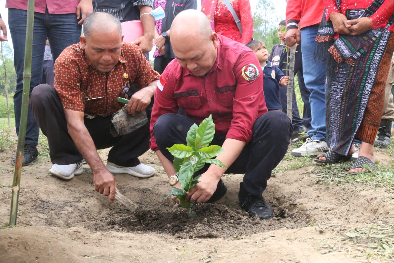 Bupati Taput Hadiri Penanaman Perdana Kopi Arabika Jenis Komasti di Desa Doloksaribu Kecamatan Pagaran