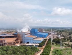 Catatkan Kinerja Keuangan Terbaik, PLN Setor Dividen Rp2,19T dan Pajak Rp35,33T