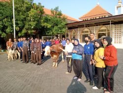 Bagikan Daging Qurban, Yayasan Hang Tuah Sembelih 19 Ekor Sapi dan 43 Ekor Kambing