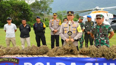 Perburuan 150 Ha Ladang Ganja oleh Polda Sumut Gunakan Teknologi Citra Satelit