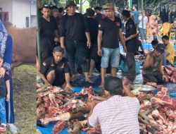 DPC GRIB Jaya Kota Medan dan 21 PAC Qurban 40 Ekor Sapi Untuk Perayaan Idul Adha 5 Ribu Warga Medan