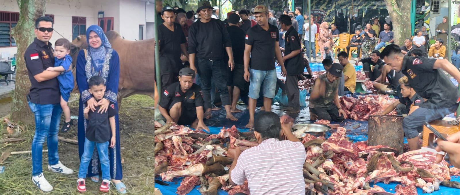 DPC GRIB Jaya Kota Medan dan 21 PAC Qurban 40 Ekor Sapi Untuk Perayaan Idul Adha 5 Ribu Warga Medan