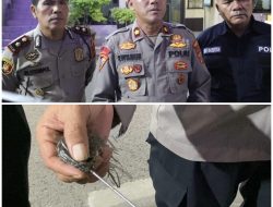 3 Orang Diamankan Terkait Bentrok Warga dengan Petugas Penertiban Bangunan di Sampali