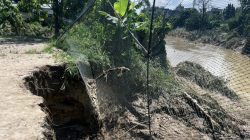 Tragis, Lapangan Gang Pantai Kampung Lalang Medan Nyaris Hilang Akibat Abrasi Pascabanjir