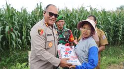 Kapolrestabes Medan Zoom Meeting Penanaman 1 Juta Hektar Jagung Bersama Mentan dan Kapolri