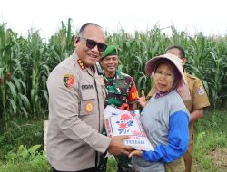 Kapolrestabes Medan Zoom Meeting Penanaman 1 Juta Hektar Jagung Bersama Mentan dan Kapolri