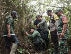 Kembali Digegerkan Dugaan Jejak Kaki Harimau, Pemerintah Kabupaten Dairi-BBKSDA Pasang Kamera Trap