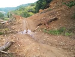 Terkena Bencana Longsor, Akses Jalan Desa Alur Subur Mulai Dapat Dilintasi