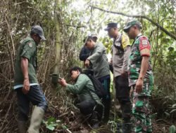 Dugaan Jejak Kaki Harimau, Pemkab Dairi – BBKSDA Pasang Kamera Trap