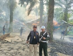 Denpom I/5 Medan dan Polrestabes Razia Arena Sabung Ayam di Pancur Batu, Gubuk Judi Dibongkar dan Dibakar