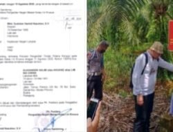 Praktisi Hukum Medan Angkat Bicara Atas Lahan Sawit Sitaan Jaksa dari Akuang Diduga Tetap Dipanen