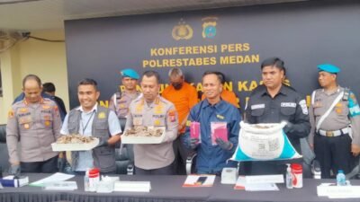 Polisi Tangkap Dua Orang Komplotan Pelaku Perdagangan Satwa Dilindung Negara di Medan
