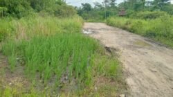 Refleksi HUT Lebak: Sudahkah Pembangunan Berpihak pada Rakyat Kecil dan Lingkungan