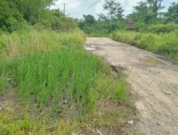 Refleksi HUT Lebak: Sudahkah Pembangunan Berpihak pada Rakyat Kecil dan Lingkungan