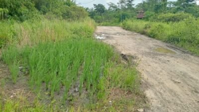 Refleksi HUT Lebak: Sudahkah Pembangunan Berpihak pada Rakyat Kecil dan Lingkungan