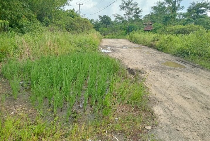 Refleksi HUT Lebak: Sudahkah Pembangunan Berpihak pada Rakyat Kecil dan Lingkungan