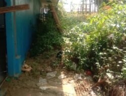 Kondisi Pasar Semi LEBAK Memprihatinkan, Diduga Kecelakaan Perencanaan