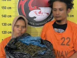 Modus Becak Motor Terbongkar! Polisi Tapsel Gagalkan Pengiriman 3 Kg Ganja