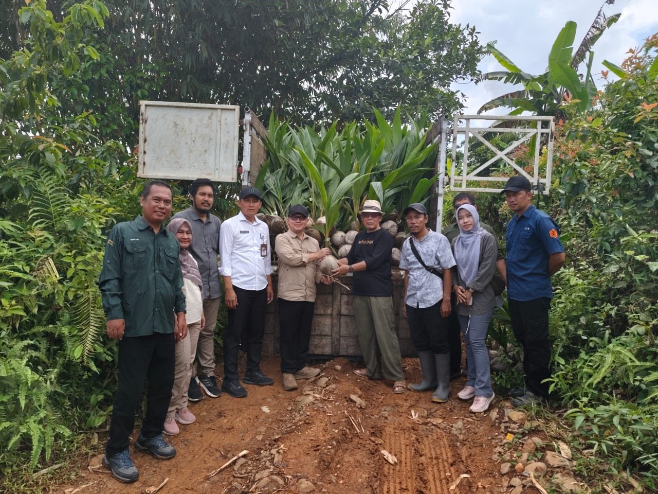 Kementan Salurkan 220 Ribu Benih Kelapa di Lebak, Dorong Penguatan Hilirisasi Pertanian Nasional