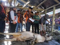 Musa Rajekshah Pimpin Penyaluran Kurban MPW PP Sumut untuk Warga Terdampak Banjir di Aceh Tamiang