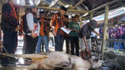 Musa Rajekshah Pimpin Penyaluran Kurban MPW PP Sumut untuk Warga Terdampak Banjir di Aceh Tamiang