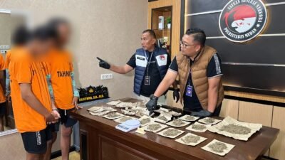 Terbongkar!!!.. Dua Mahasiswa Pengedar Ganja di Medan Diciduk, Polisi Sita 260 Gram Barang Bukti