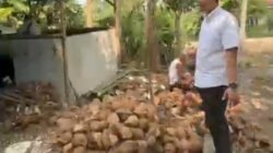 Kelapa Kopra Babeh: Produk Lokal Bermutu Tinggi yang Semakin Diminati