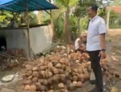 Kelapa Kopra Babeh: Produk Lokal Bermutu Tinggi yang Semakin Diminati