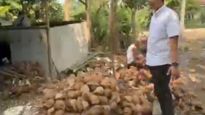 Kelapa Kopra Babeh: Produk Lokal Bermutu Tinggi yang Semakin Diminati