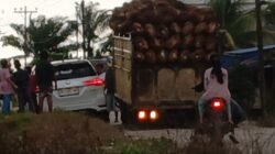 Antisipasi Kecelakaan :Warga Kualuh Leidong Minta Polisi Tertibkan Mobil Truk Angkut Buah Sawit Bertonase Berlebihan