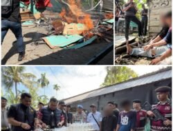Sarang Narkoba di Area Perkebunan dengan Pengamanan Sejumlah CCTV Digerebek Polisi di Sei Mencirim