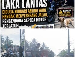 Hindari Hewan Anjing Saat Menyeberang Jalan Raya , Seorang Ibu Mengalami Lakalantas Hingga Alami Patah tulang