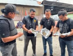 Polrestabes Medan Ratakan Bantaran Rel KA Medan – Kualanamu yang Jadi Sarang Narkoba 3 Kg Ganja, Sejumlah Paket Sabu, Hingga Beragam Senjata Disita