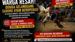 Warga Resah! Gelanggang Sabung Ayam Diduga Beroperasi Rutin di Dusun Bendo Desa Bangun Baru