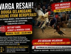 Warga Resah! Gelanggang Sabung Ayam Diduga Beroperasi Rutin di Dusun Bendo Desa Bangun Baru