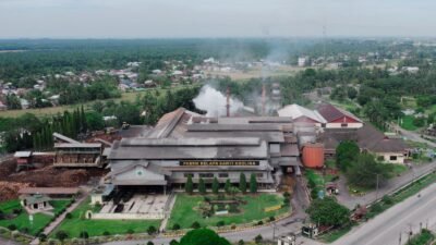 Perkuat Tata Kelola dan Standar Global, PTPN IV Akselerasi Sertifikasi Ratusan Kebun dan PKS di Seluruh Regional