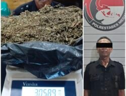 Seorang Oknum Satpam Ditangkap Polisi Edarkan Narkoba di Jalan Tanjung Sari Medan, Ganja 3 0ns Dista