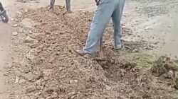 Plang Proyek Tak Terlihat, Pekerja Tanpa APD Disorot, Kabid Cipta Karya PUTR Labura Buka Suara