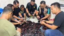 Terbongkar! Bengkel Motor di Bandar Setia Jadi Gudang 1.152 Vape Narkoba