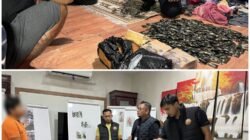 Polisi Gerebek Gudang Pengolahan Pinang Disulap Jadi Gudang Narkoba di Sei Mencirim, 3 Kg Sabu, 10.000 ekstasi, dan 1.778 Pod Getar Disita